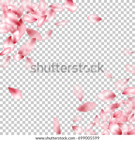 Pink Flower Petal Confetti Vector Corners Stock Vector (Royalty Free