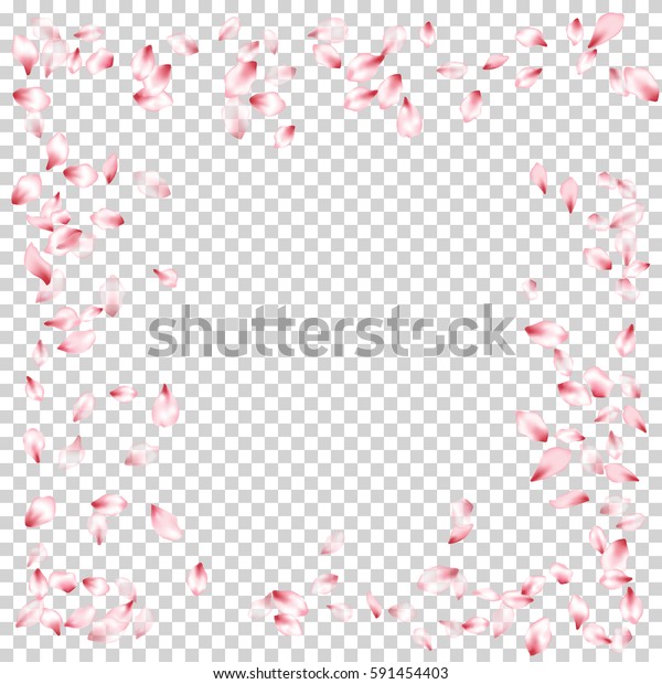 Pink Flower Petal Confetti Vector Floral Stock Vector (Royalty Free