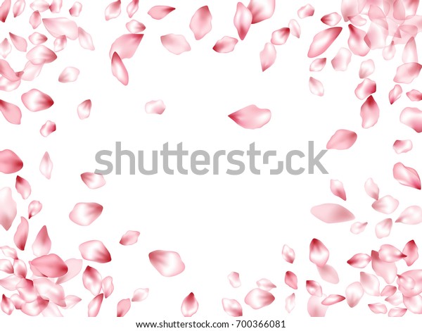 Pink Flower Petal Confetti Vector Border Stock Vector (Royalty Free