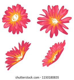 Pink Flower petal | eps.10 file