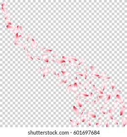 Pink Flower Petal Falling Down Confetti Vector. Spring blossom  isolated flying elements pattern on transparency grid of white and grey squares background. 