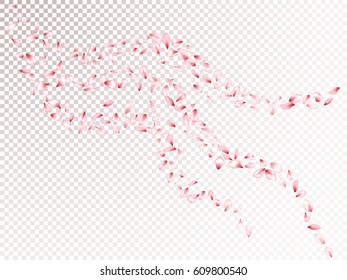 Pink flower petal falling down confetti vector. Spring blossom  flying elements, isolated pattern on transparency grid of white and grey squares background. Japanese cherry bloom parts graphic design.