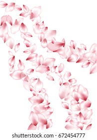 Pink flower petal falling down confetti vector. Spring blossom flying elements, isolated pattern on white and background. Japanese cherry bloom parts graphic design.