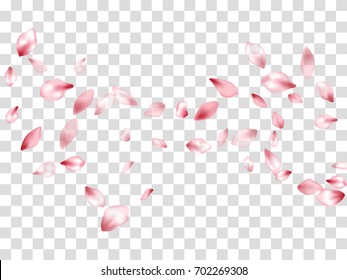Pink flower petal falling down confetti vector. Spring blossom flying petals, isolated pattern on transparent background grid of white and grey squares. Apple or peach bloom flower parts design.