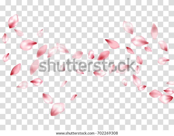 ピンクの花びらが紙吹雪のベクター画像を下に落ちる 白とグレイの四角形の透明な背景に春の花びらが飛び散る模様 リンゴや桃の花の部分デザイン のベクター画像素材 ロイヤリティフリー