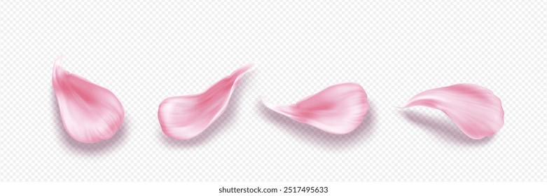 Pink flower petal for spring time and spa service design. Realistic 3d vector illustration set of pastel rose or sakura blossom leaves on transparent background. Cherry or peach bloom elements.