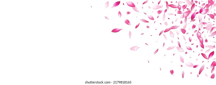 Pink Flower Petal Vector Panoramic Background. Pastel Fly Sakura Petal Frame. Cherry Petal Valentine Design. Delicate Rose Petal Backdrop.