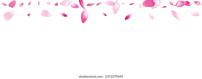 Pink Flower Petal Vector Panoramic Background. Color Air Peach Petal Illustration. Apple Petal Fly Banner. Modern Cherry Petal Product.
