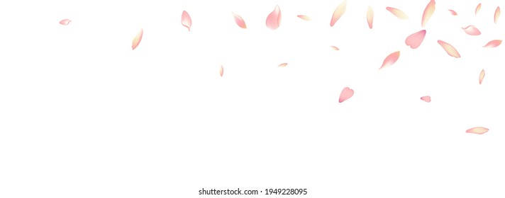 Pink Flower Petal Vector White Background. Pastel Flying Apple Petal Banner. Sakura Petal Spring Backdrop. Springtime Peach Petal Pattern.