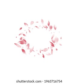 Pink Flower Petal Vector White Background. Pastel Wallpaper Sakura Petal Texture. Apple Petal Invitation Congratulation. Modern Lotus Petal Backdrop.