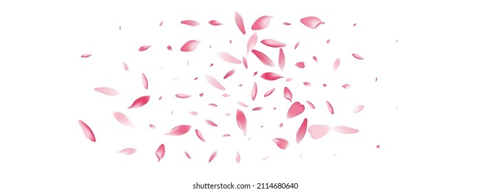 Pink Flower Petal Vector White Background. Pastel Bright Sakura Petal Frame. Apple Petal Fly Product. Realistic Rose Petal Poster.