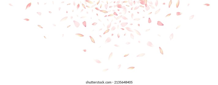 Pink Flower Petal Vector White Background. Color Summer Cherry Petal Card. Peach Petal Floor Design. Wedding Lotus Petal Template.
