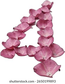 Pink flower petals are artfully arranged to form the number "4" four, showcasing a creative and visually appealing floral numeral.