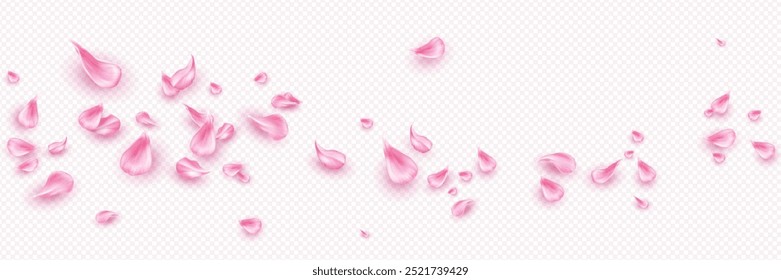 Pink flower petals flying isolated on transparent background. Vector realistic illustration of rose, sakura, japanese cherry blossom leaves in air, romantic floral decoration, delicate perfume aroma