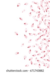 Pink flower petals flying vector vertical banner background. Spring blossom isolated elements on white. Bloom parts confetti windy pattern.