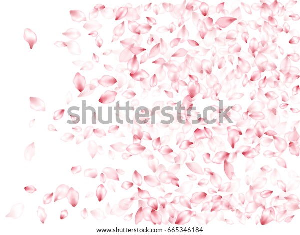 Pink Flower Petals Flying Vector Horizontal Stock Vector (Royalty Free