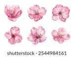 pink flower petals, perfect for adding a touch of elegance to your designs. Ideal for invitations, greeting cards, and art projects. 