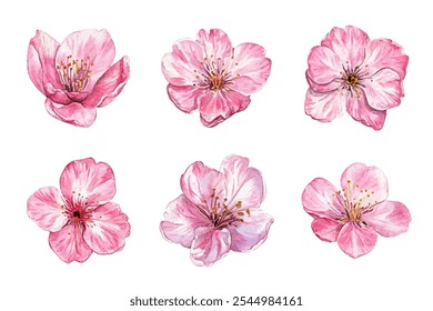 pétalas de flor rosa, perfeito para adicionar um toque de elegância aos seus projetos. Ideal para convites, cartões de felicitações e projetos de arte. 