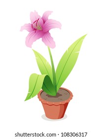 Pink flower in pot