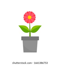 Pink flower in the pot. Vector illustration.