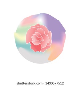 pink flower with rainbow background
