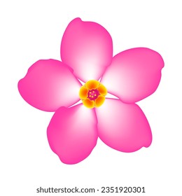 Einfache rosafarbene, blühende Illustration einzeln auf Weiß. Frühlingsblütenelement für Design-Anforderungen. Realistische Blätter und Muster. Videokunst. Rosa Kirschblume, Sakurenblüte, Einzel-Design-Element der Federkarte