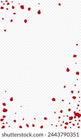 Pink Flower Spring Vector Transparent Background. Summer Cherry Wallpaper. Red Sakura Fall Template. Delicate Petal Japanese Design.