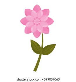 pink flower stem leaves vector illustration eps 10