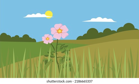 Pink flower in the steppe fields