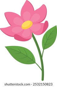 Pink flower. Summer nature. Garden plant blossom