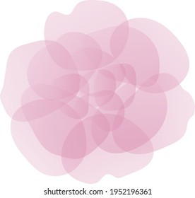 Pink flower for a summer postcard, vector drawing in pastel shades. Delicate natural pattern for the cover.