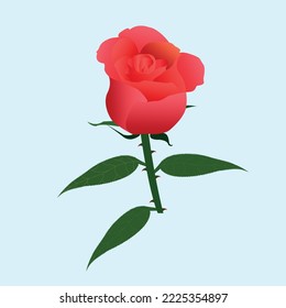 pink flower with thorns and 3 leaf