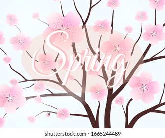 Pink flower tree Symbol style and spring background. Can be used for your work. Welcome spring season concept.