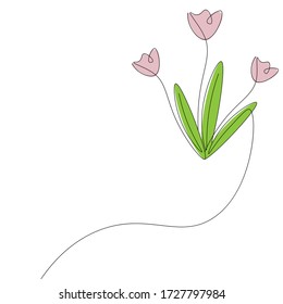  Pink flower tulip background, vector illustration