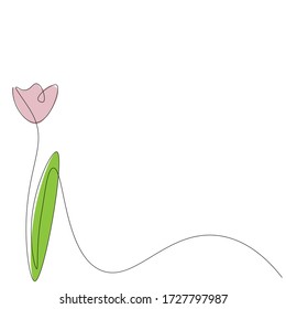  Pink flower tulip background, vector illustration