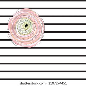 Pink flower, two stripes background in white and black