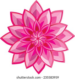 Pink Flower vector