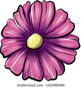 The pink flower vector drawing 