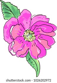 Pink flower. Vector illustration.