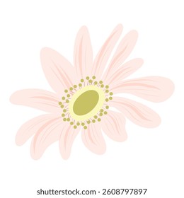 Pink flower vector illustration, hand drawn floral illustration