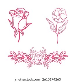 pink flower vector illustration set