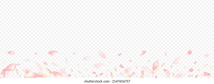 Pink Flower Vector Panoramic Transparent Background. Rosa Soft Texture. Floral Wind Design. Blooming 3d Pattern. Red Lotus Free Backdrop.