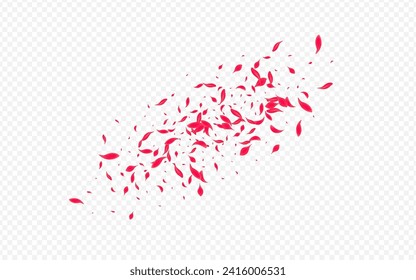 Pink Flower Vector Transparent Background. Fly Cherry Poster. Beautiful Rose Blur Texture. Delicate Summer Petal Backdrop.