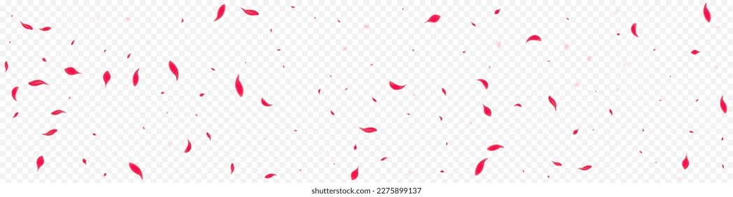 Pink Flower Vector Transparent Panoramic Background. Japanese Petal Wallpaper. Beautiful Lotus Flying Template. Delicate Blur Blossom Frame.