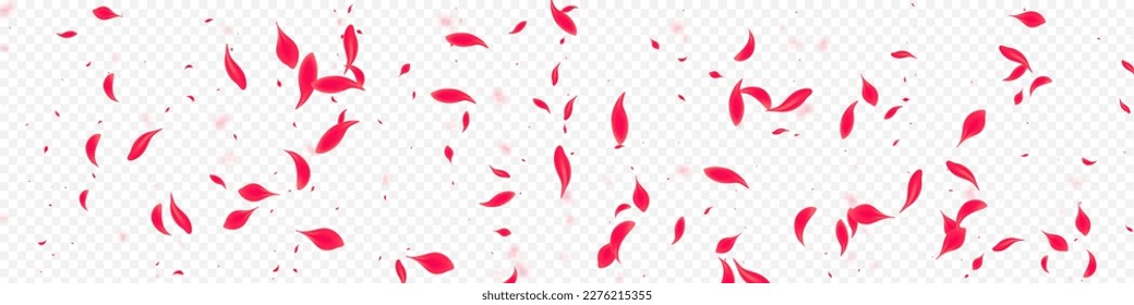 Pink Flower Vector Transparent Panoramic Background. Japanese Peach Banner. Beautiful Sakura Summer Design. Delicate Blur Cherry Backdrop.