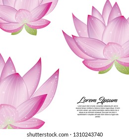 pink flower wallpaper