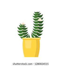 Pink flowering Mimosa pudica. Green leaves, pink flowers flowering plant in vase. Vector illustration isolated on white background