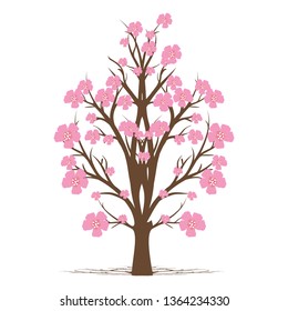 Pink Flowering Tree Stock Vector (Royalty Free) 1364234330 | Shutterstock