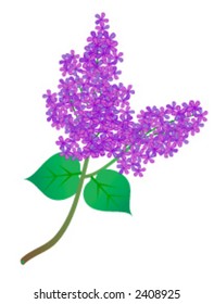Pink flowers.