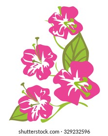 pink flowers